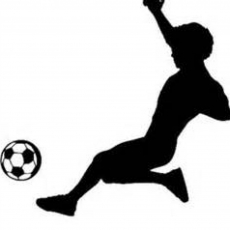 Let's Play Soccer!  Free Program!