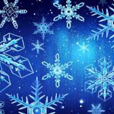Wishing you Peace and Joy this Holiday Season! 