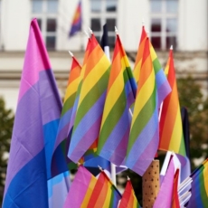 2SLGBTQIA+ (Gender and Sexual Diversity) Pride 