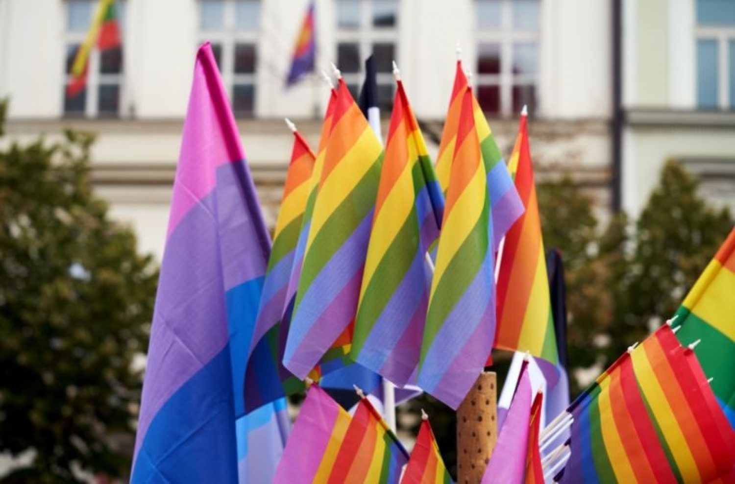 2SLGBTQIA+ (Gender and Sexual Diversity) Pride