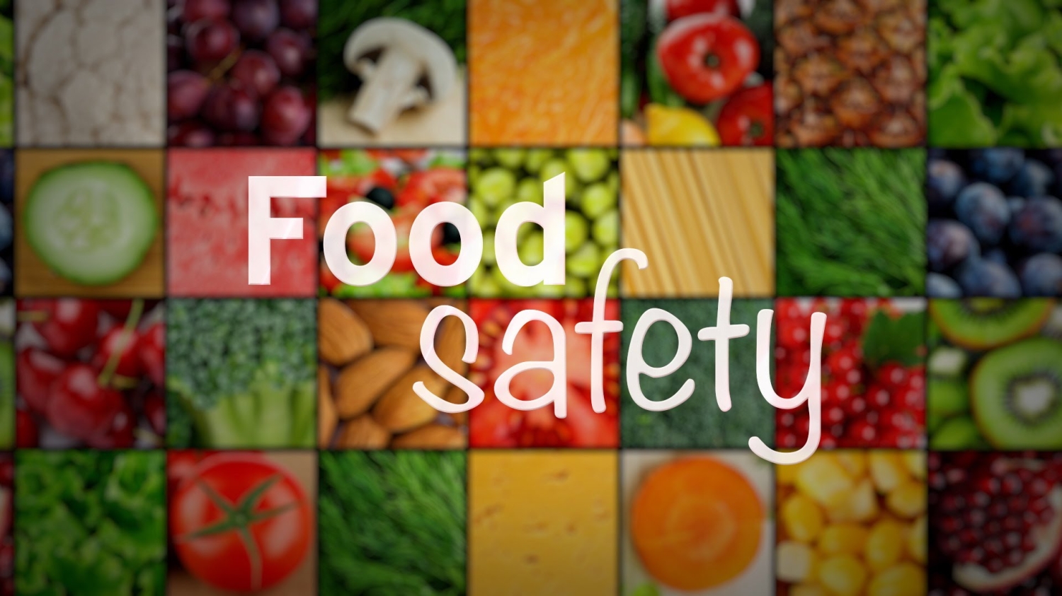 Food Safe Level 1 Workshop by Regina Open Door Society
