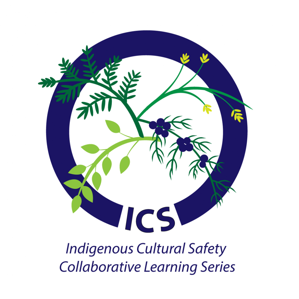 Indigenous Cultural Safety Collaborative Learning Series - free webinar library!
