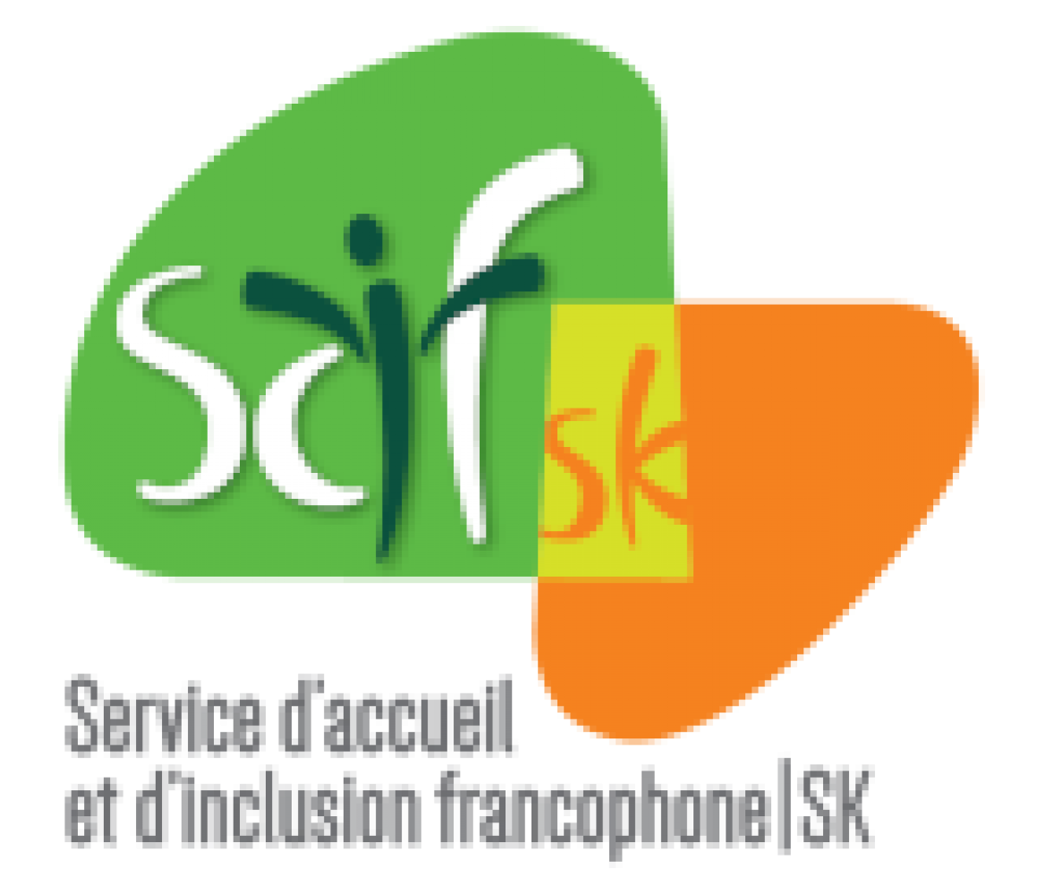 New Francophone Virtual Volunteering Platform