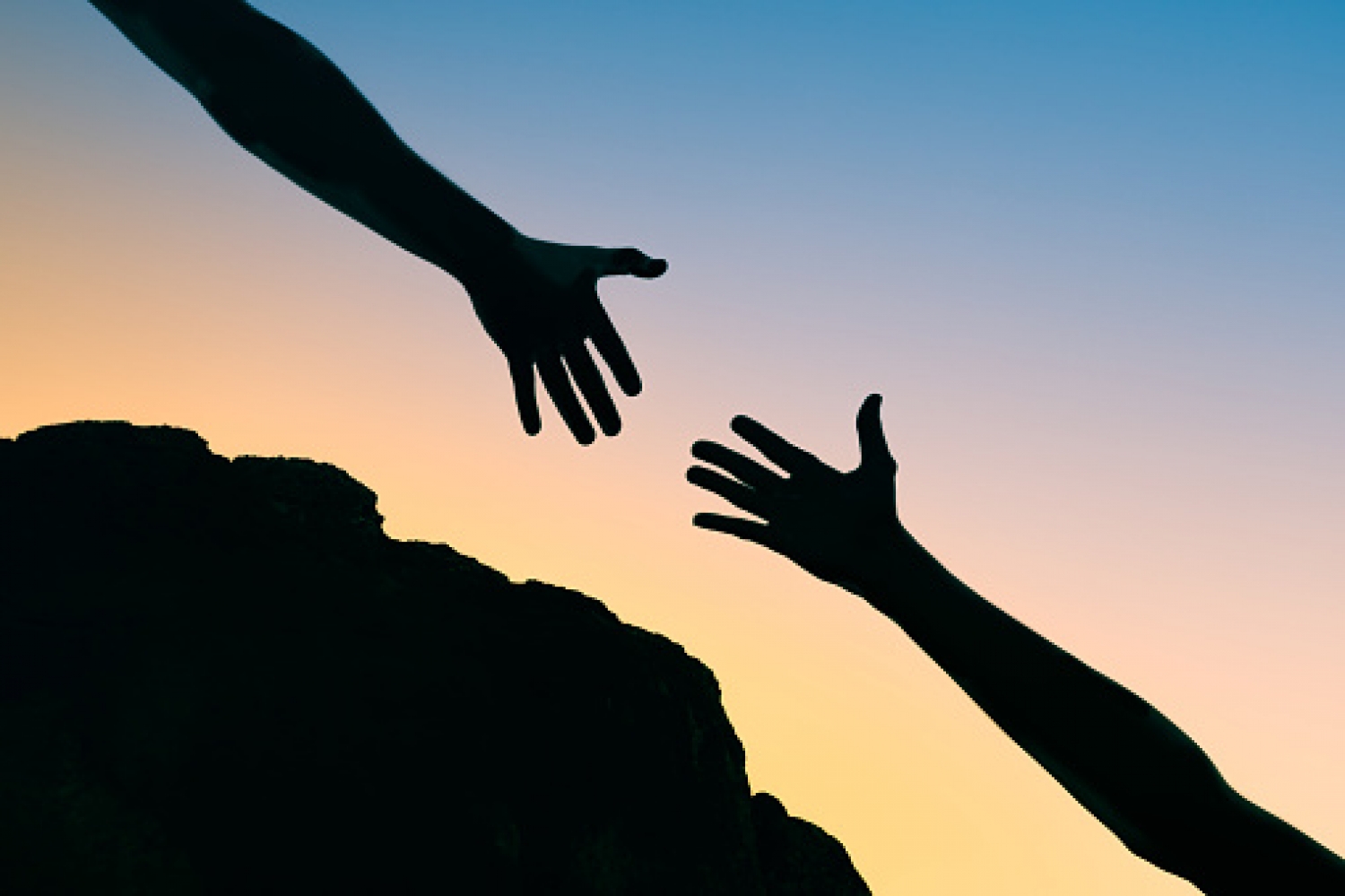 New! Mental and Emotional Wellness Resource - in 9 languages! Online and In-Person Supports Available!