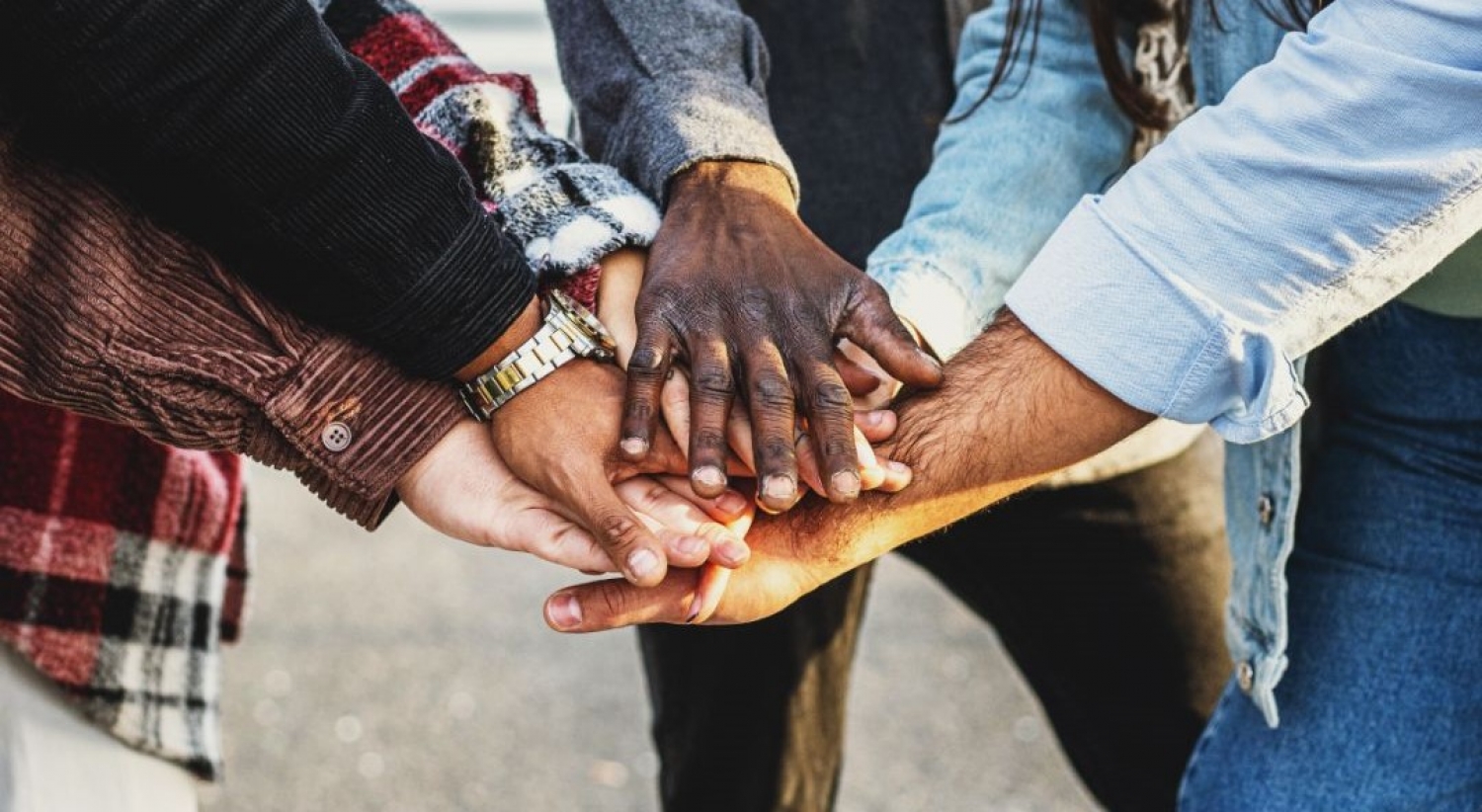Opportunities for Community Involvement in Regina
