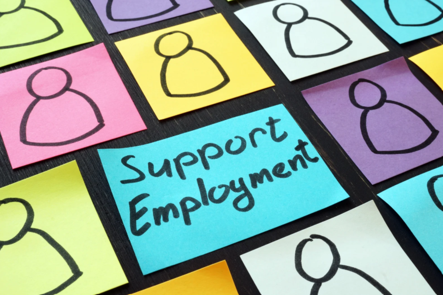 Upcoming Employment Programs