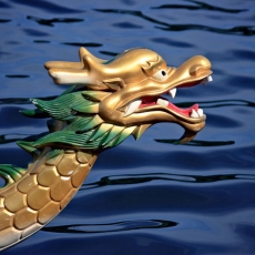 Free!  Dragon Boat Festival! Wascana Park!  Today!  Sept 2nd  and 3rd!