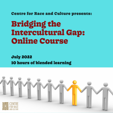 Online Course - Bridging the Intercultural Gap - July 2022 