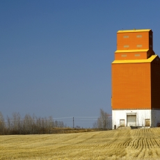 Learn about Living and Working in Rural Saskatchewan! Free Event for Newcomers!