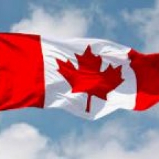 Three Articles Highlighting Newcomers Celebration of Canada Day